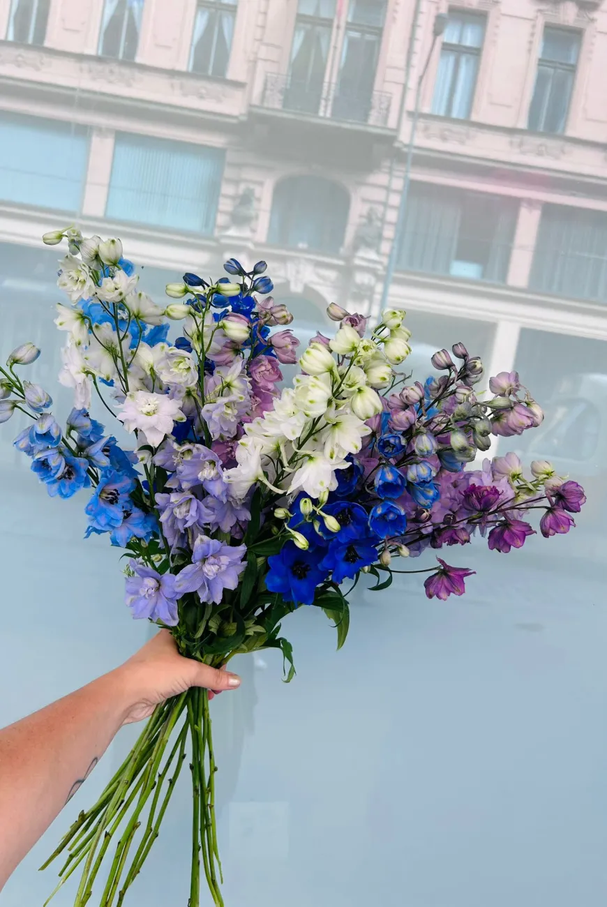 novinky bellesfleurs (3).jpeg